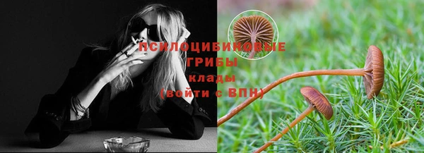 стаф Зеленокумск