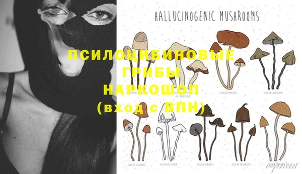 скорость Алексин