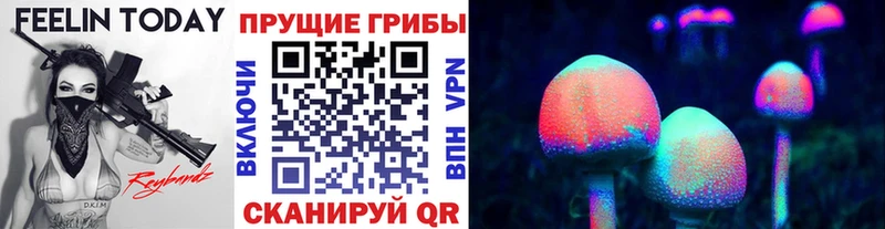 Галлюциногенные грибы Psilocybine cubensis  Морозовск 